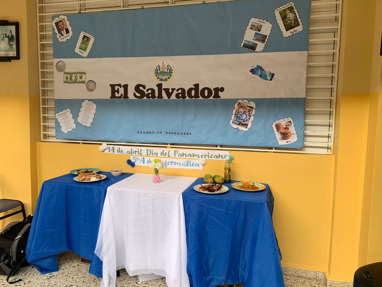 Celebración del Día Panamericano, foto 8