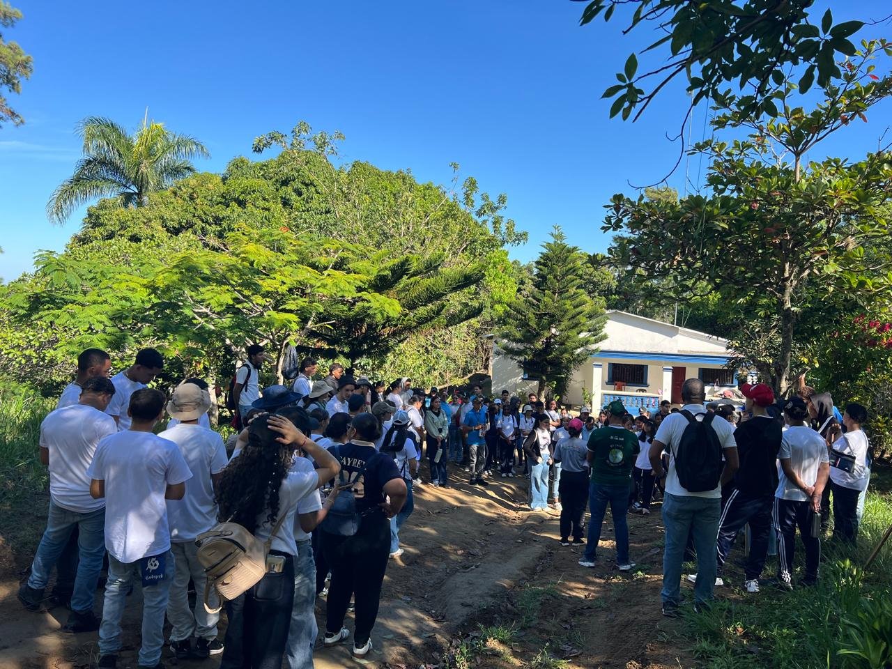 Estudiantes y docentes durante la jornada de reforestación del 9 de octubre de 2026, foto 2