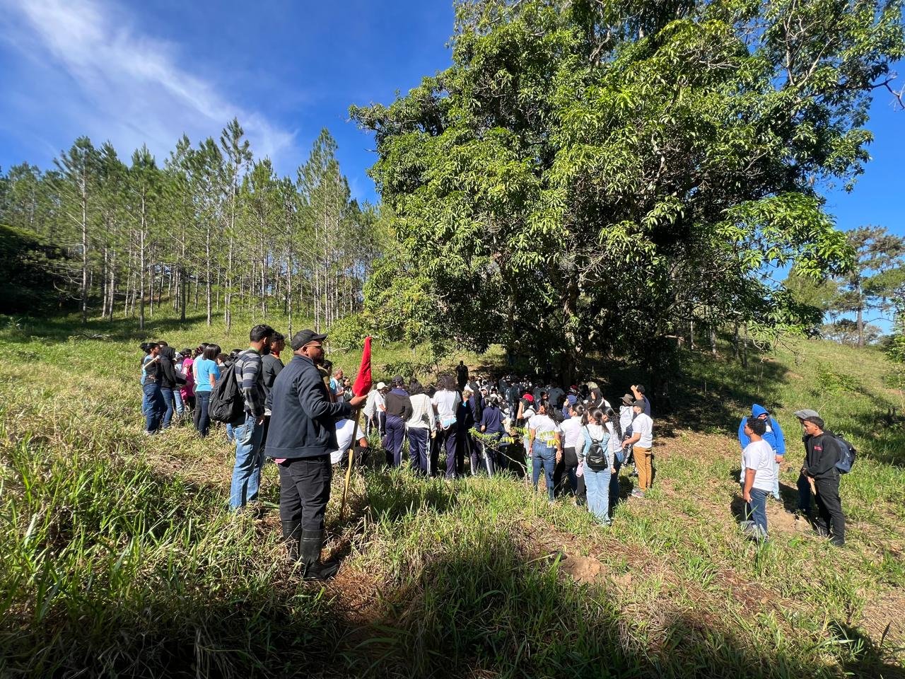 Estudiantes y docentes reunidos bajo un árbol durante la jornada de reforestación