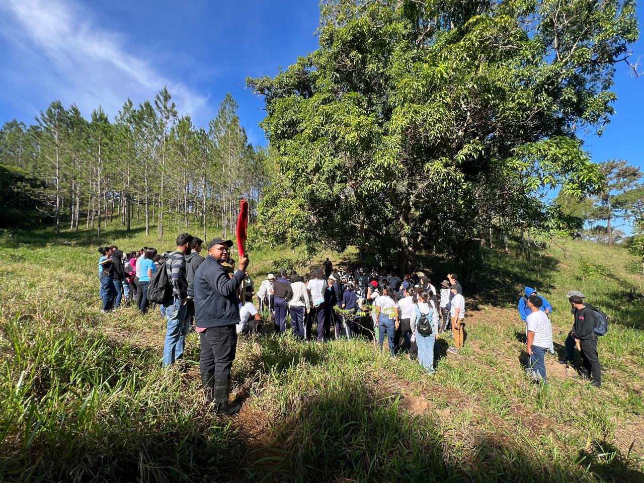 Estudiantes y docentes durante la jornada de reforestación del 9 de octubre de 2026, foto 5