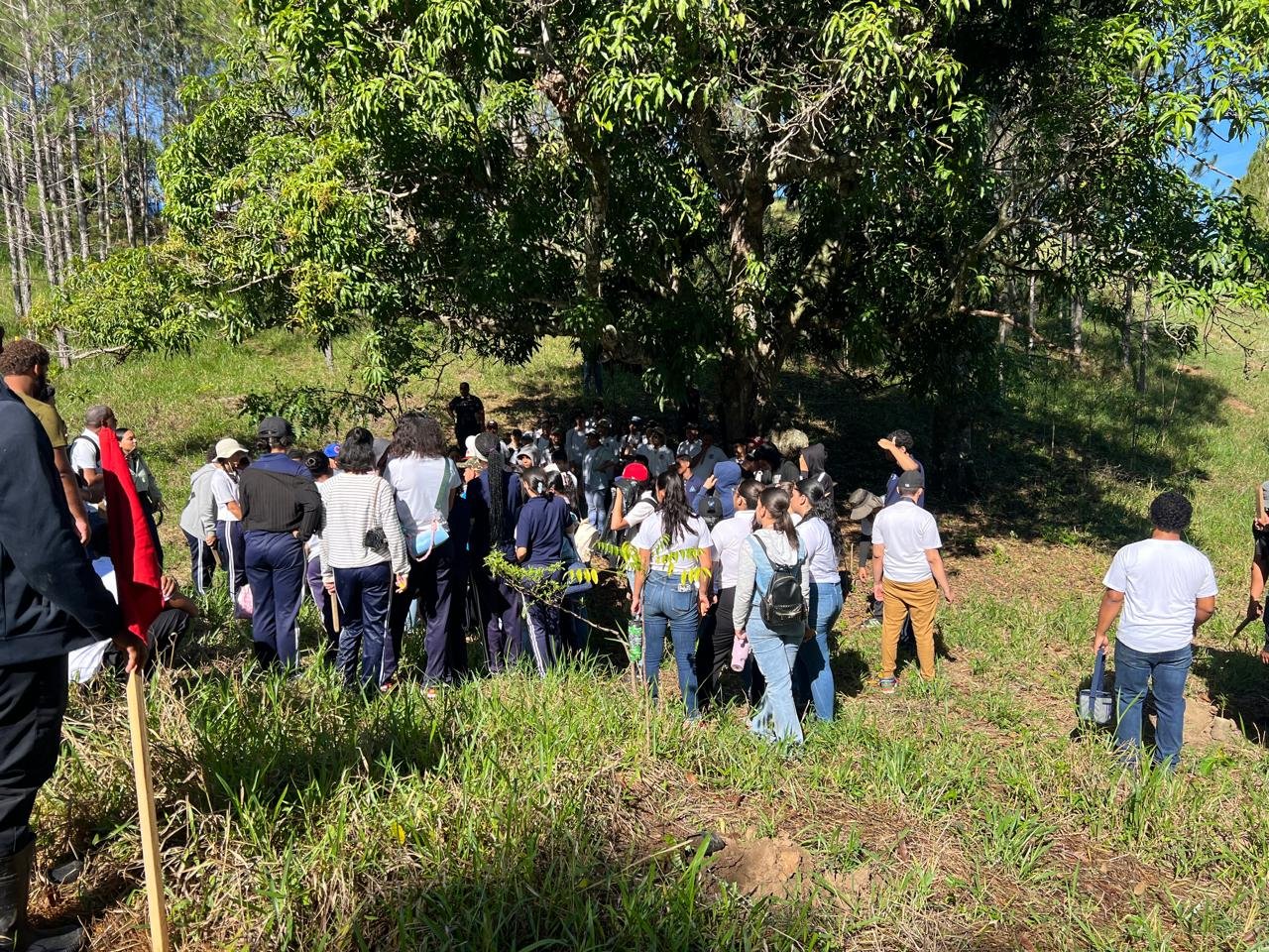 Estudiantes y docentes durante la jornada de reforestación del 9 de octubre de 2026, foto 6