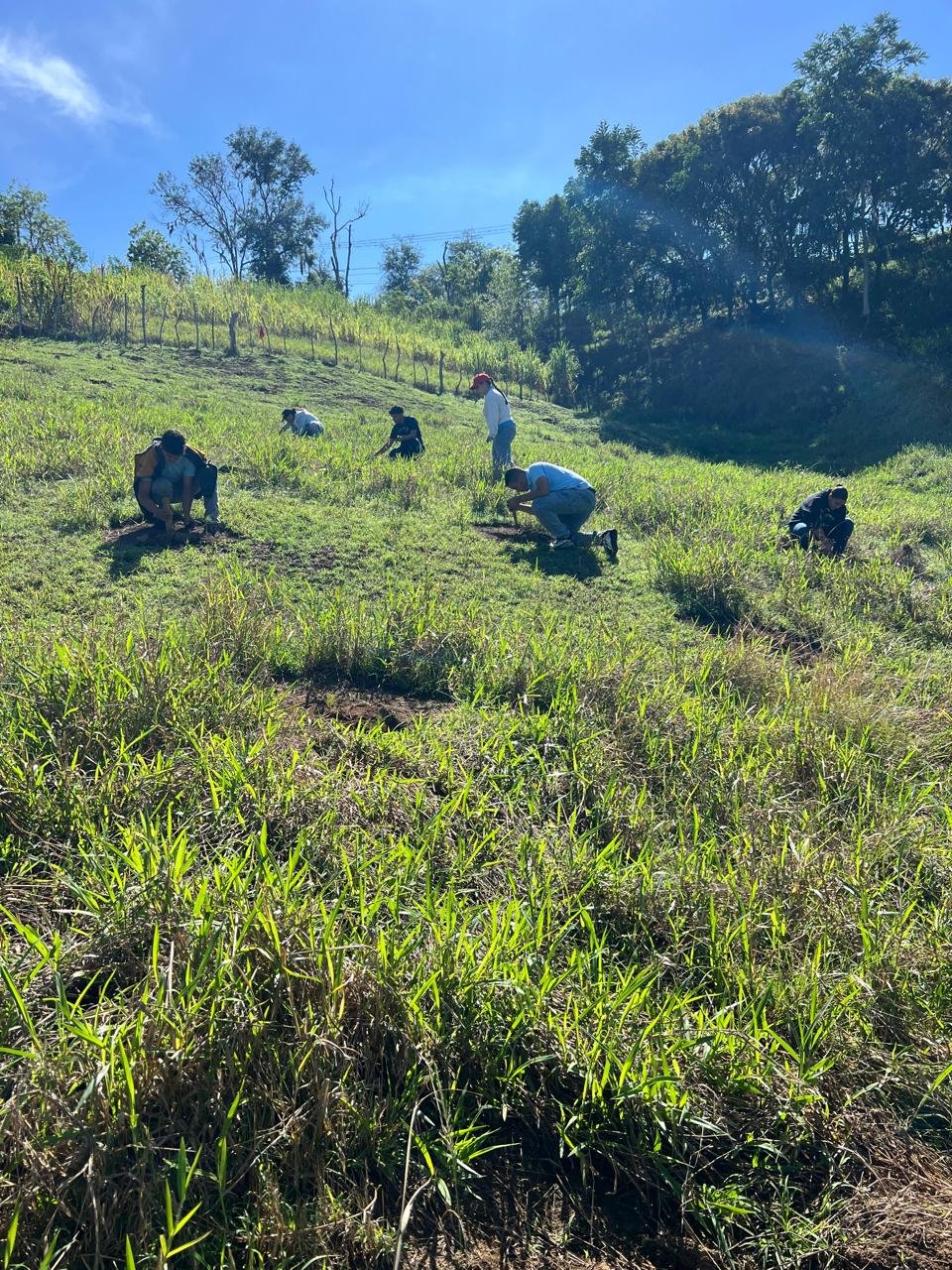 Estudiantes y docentes durante la jornada de reforestación del 9 de octubre de 2026, foto 8