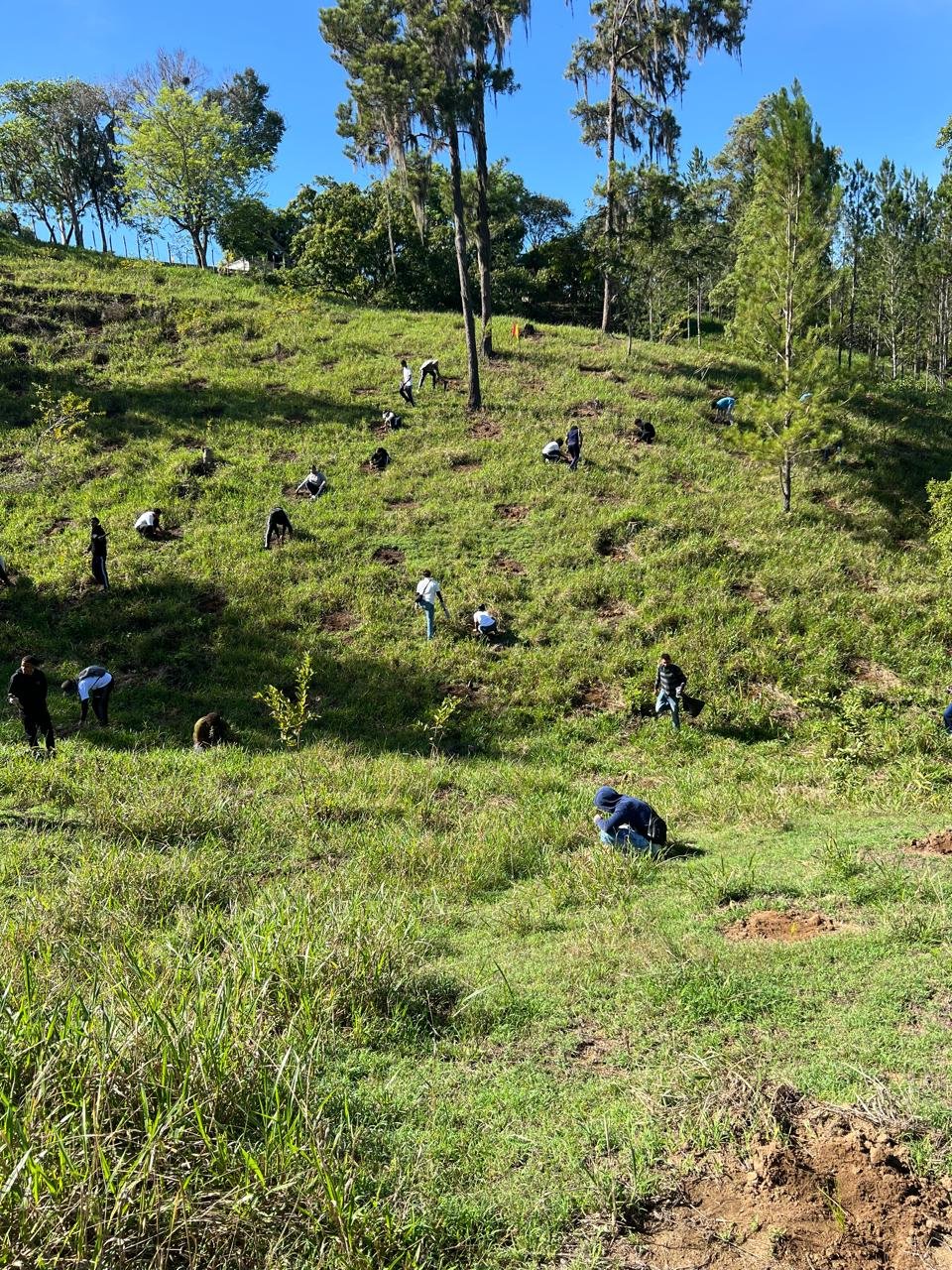 Estudiantes y docentes durante la jornada de reforestación del 9 de octubre de 2026, foto 9