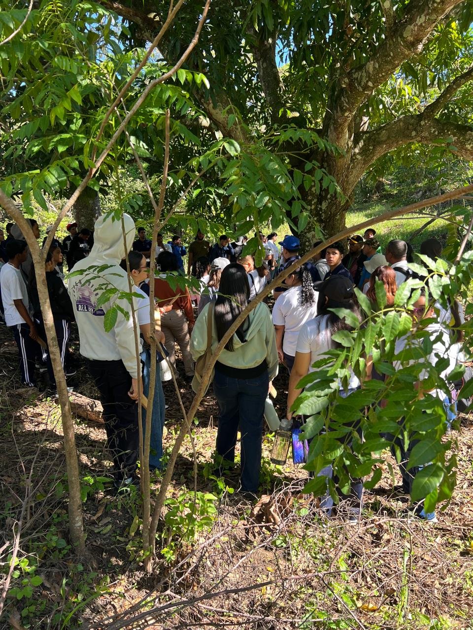 Estudiantes y docentes durante la jornada de reforestación del 9 de octubre de 2026, foto 10