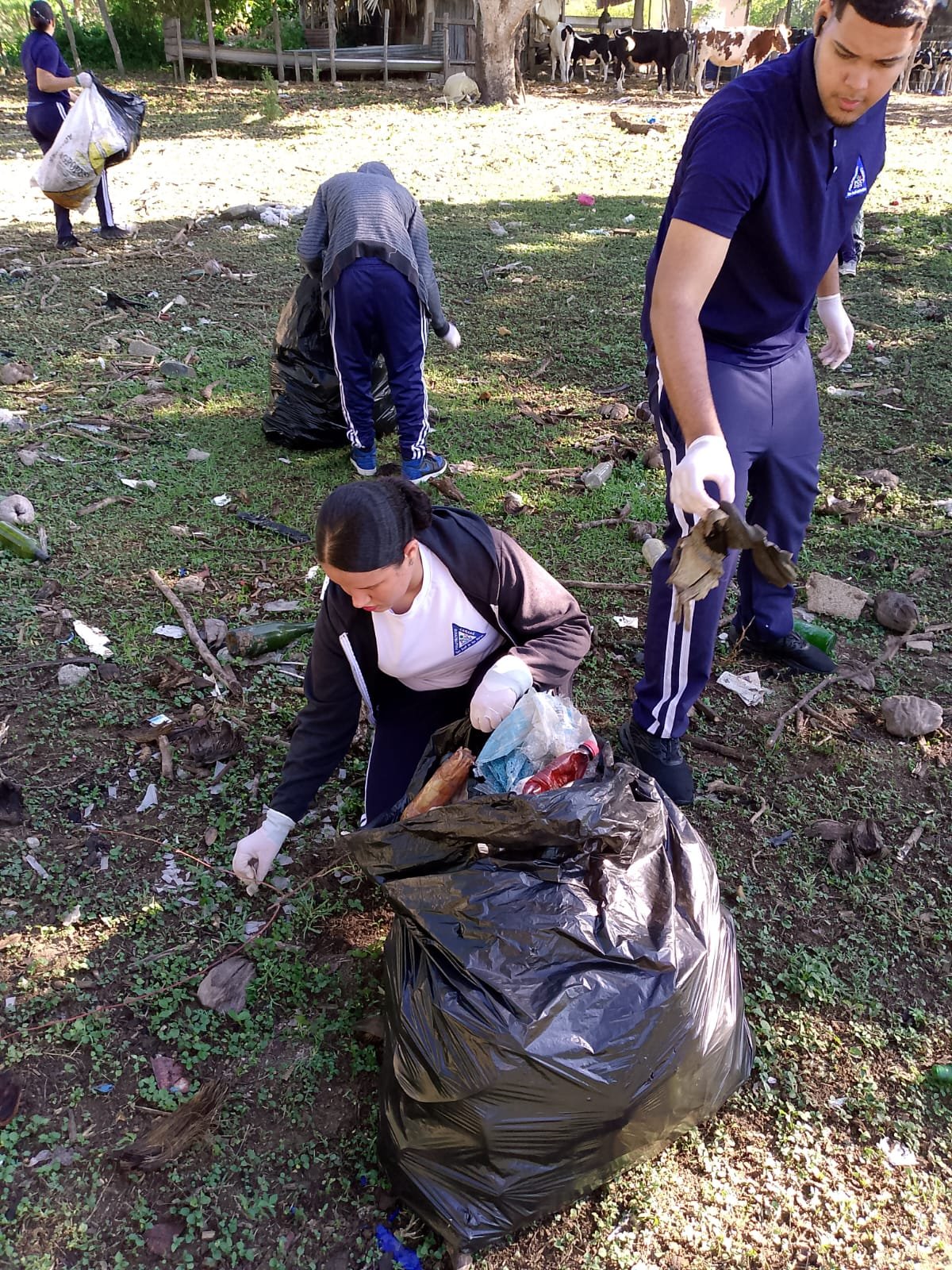 Estudiantes recogen basura en una finca de la comunidad durante la jornada, con ganado al fondo
