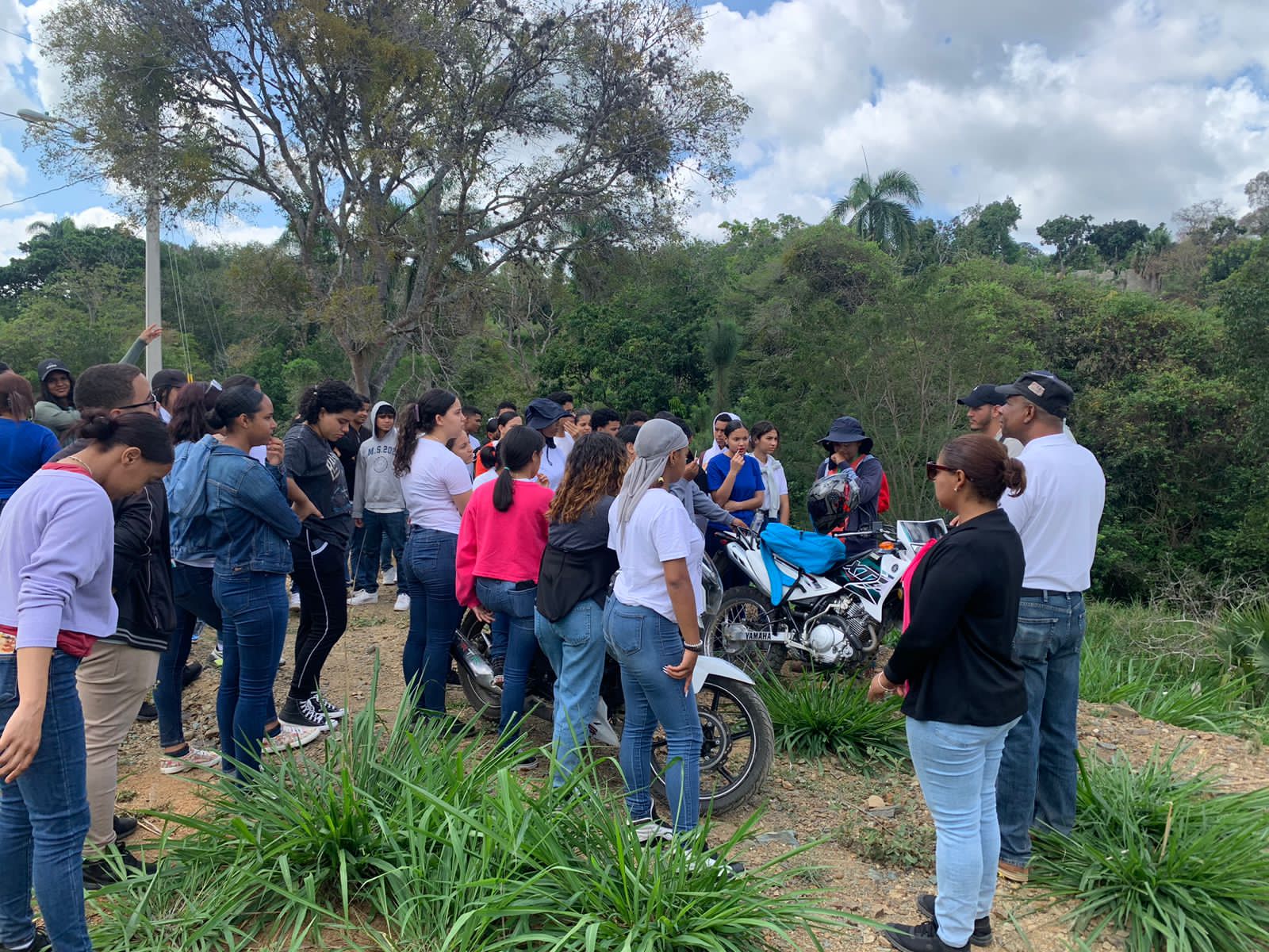 Jornada de reforestación, foto 1